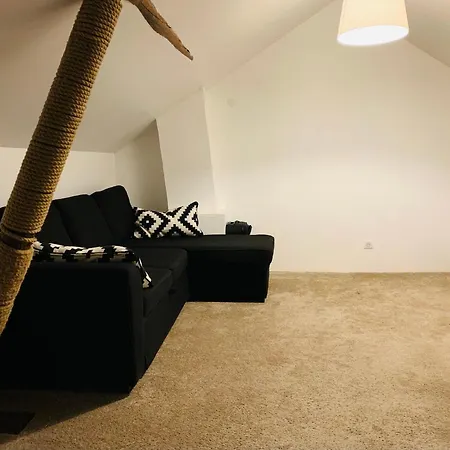 別荘 Maisonnette Du Coteau Ouest - Jardin Et Terrasse - *